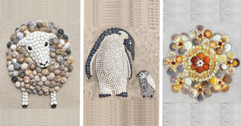 From Seashells to Sculptures: The Enchanting World of Anna Chan